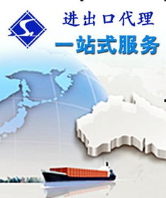 中小企業(yè)代理商服務 國內(nèi)貿(mào)易代理與出口貿(mào)易服務全面指南